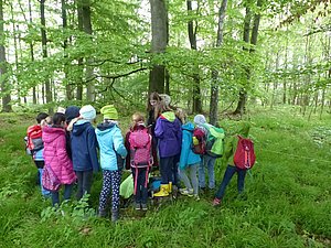 Eine Freiwillige im FÖJ erklärt Kindern etwas über den Wald